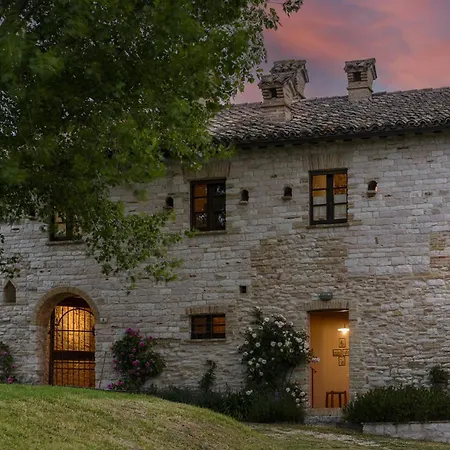 Checello 12 By Marche Cagli