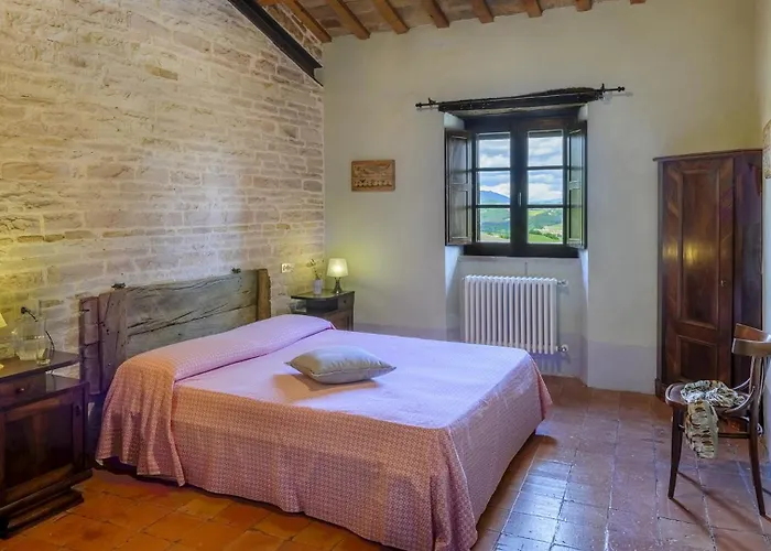 Checello 12 By Marche *