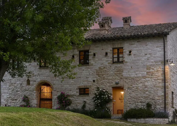 Checello 12 By Marche Cagli