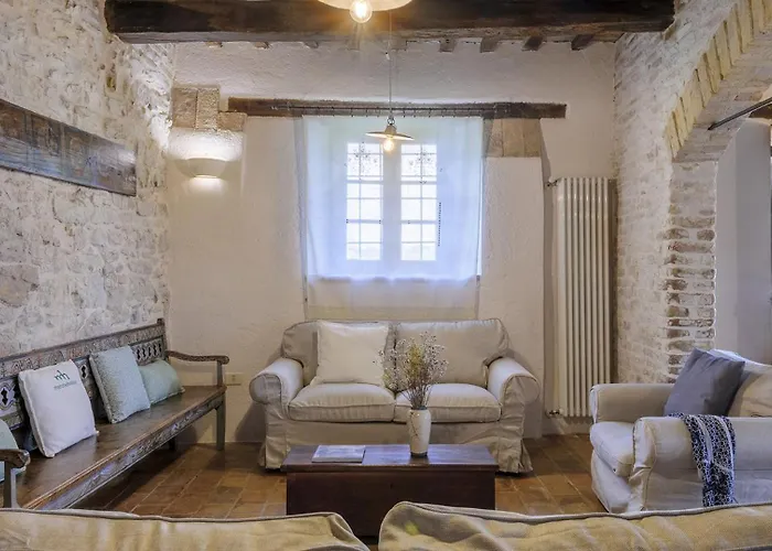 Checello 12 By Marche