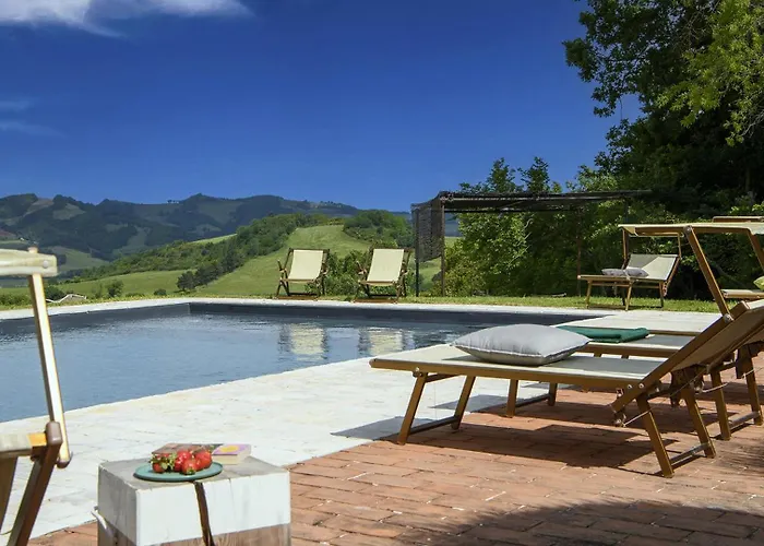 Checello 12 By Marche * Cagli